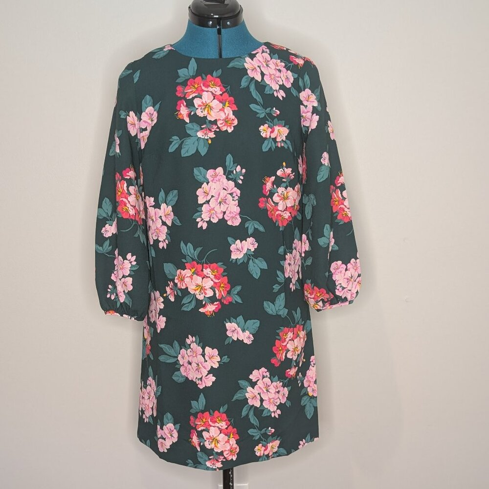 Ann Taylor Shift Dress, Size 0 (NWT)